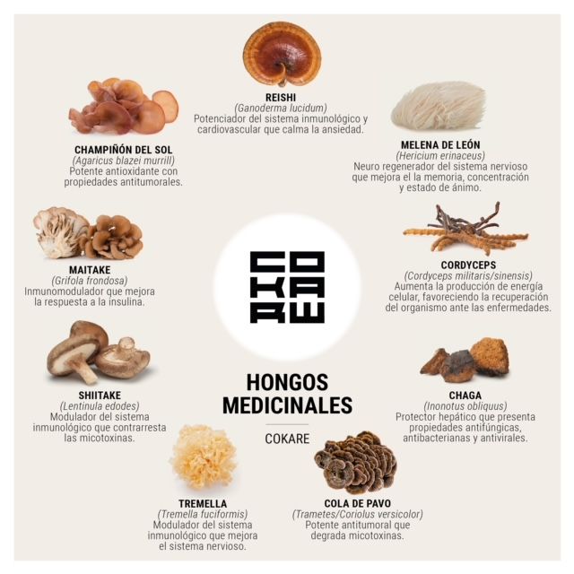 What are Adaptogenic Mushrooms?
